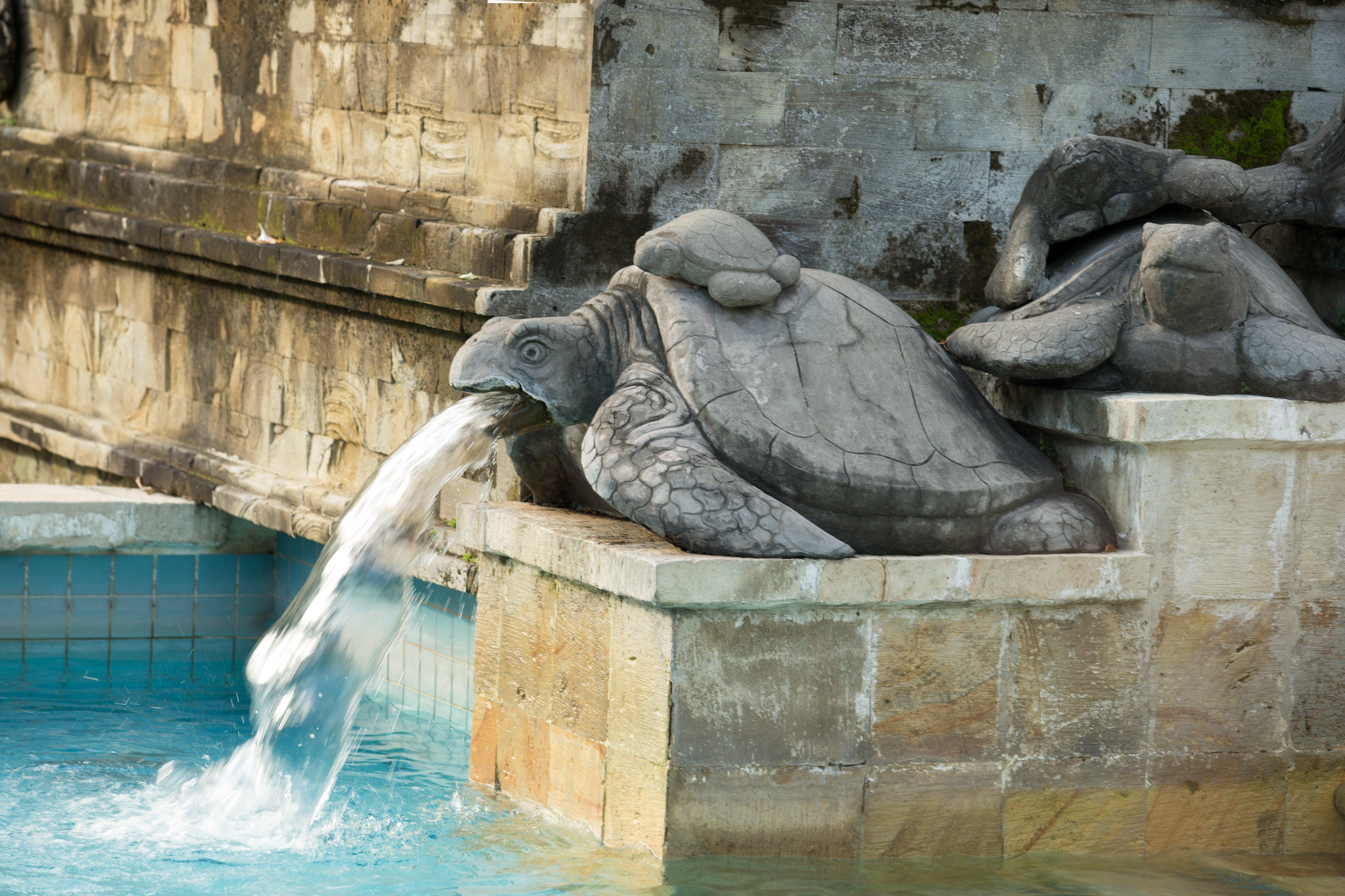 Intercontinental Bali Resort By Ihg Jimbaran Zewnętrze zdjęcie Fountain of the Turtle